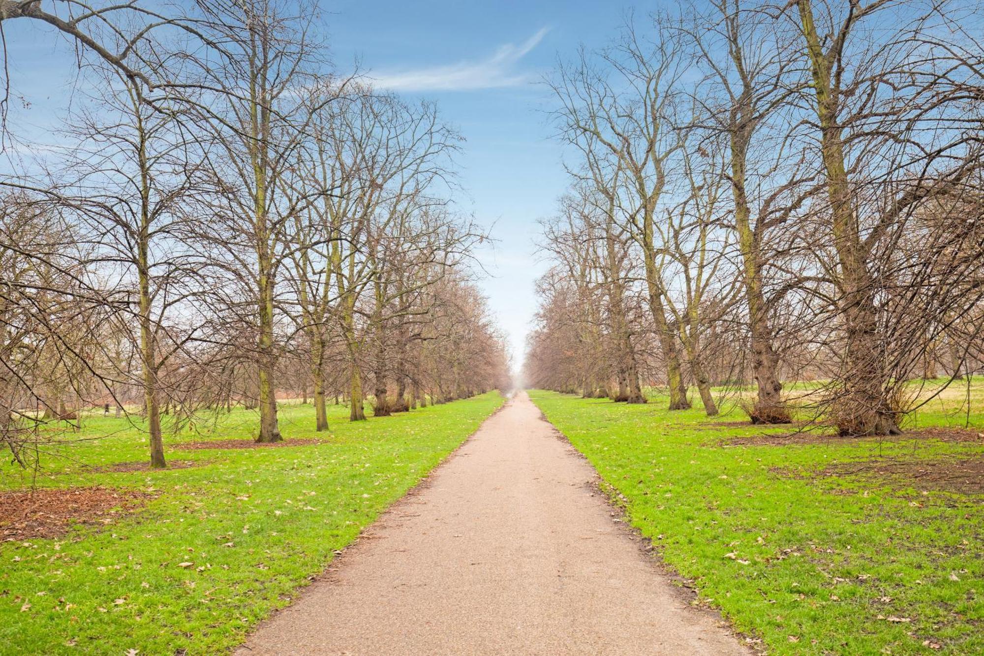 Townhouse Apollo, Hyde Park Hotel London Bagian luar foto